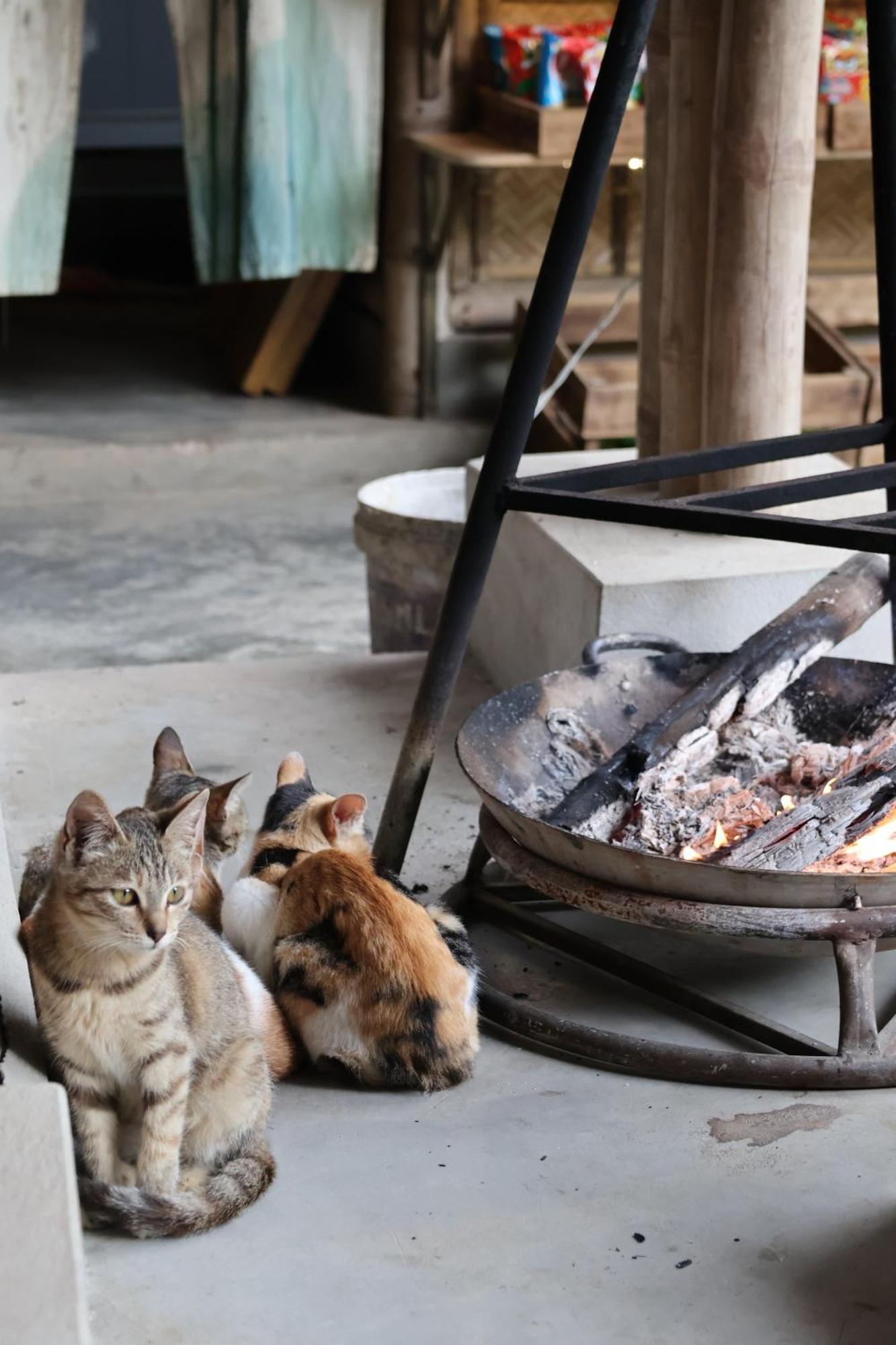 Dinh Gia Trang - Homestay & Coffee The Ruong Esterno foto