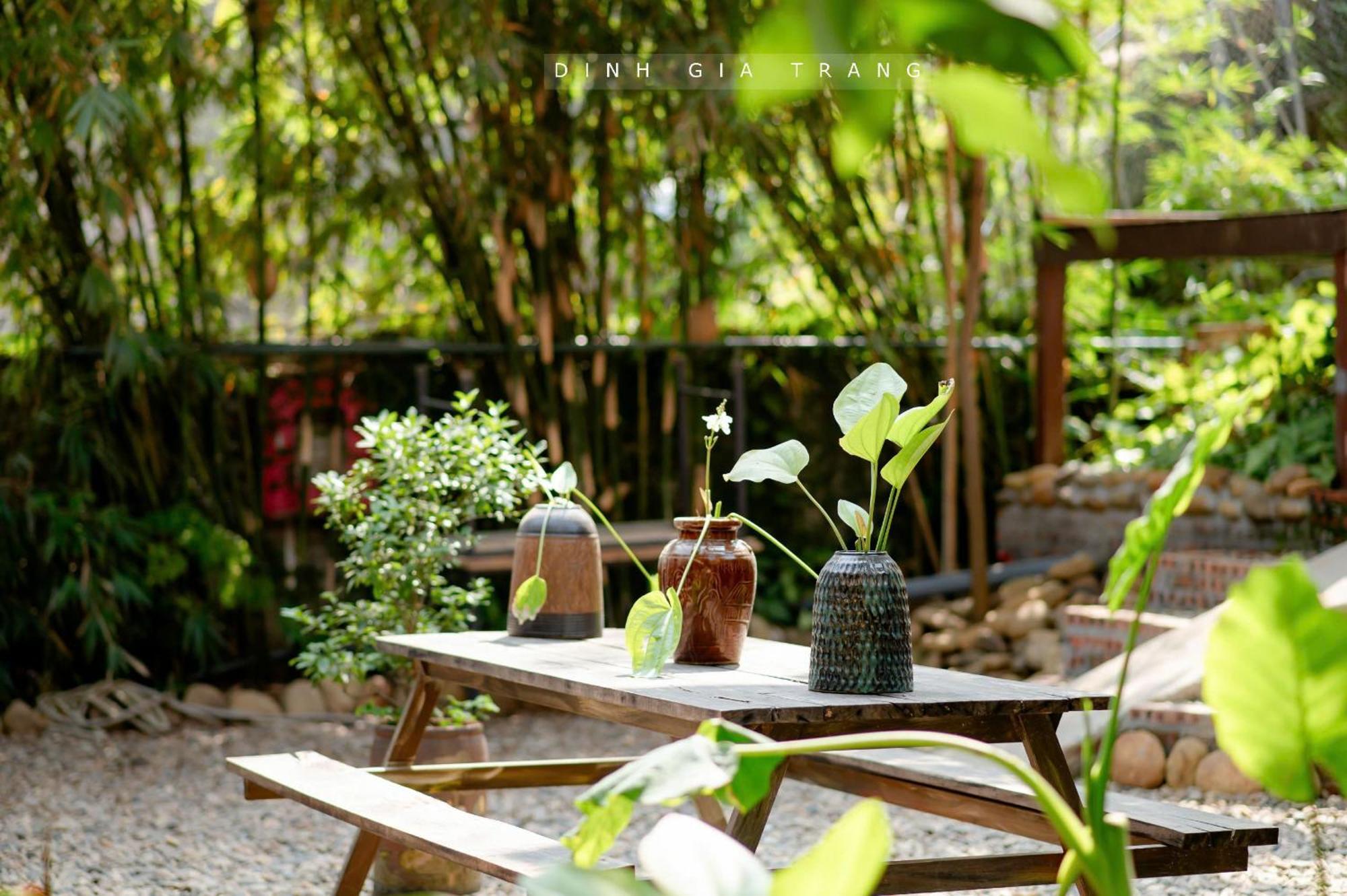 Dinh Gia Trang - Homestay & Coffee The Ruong Esterno foto