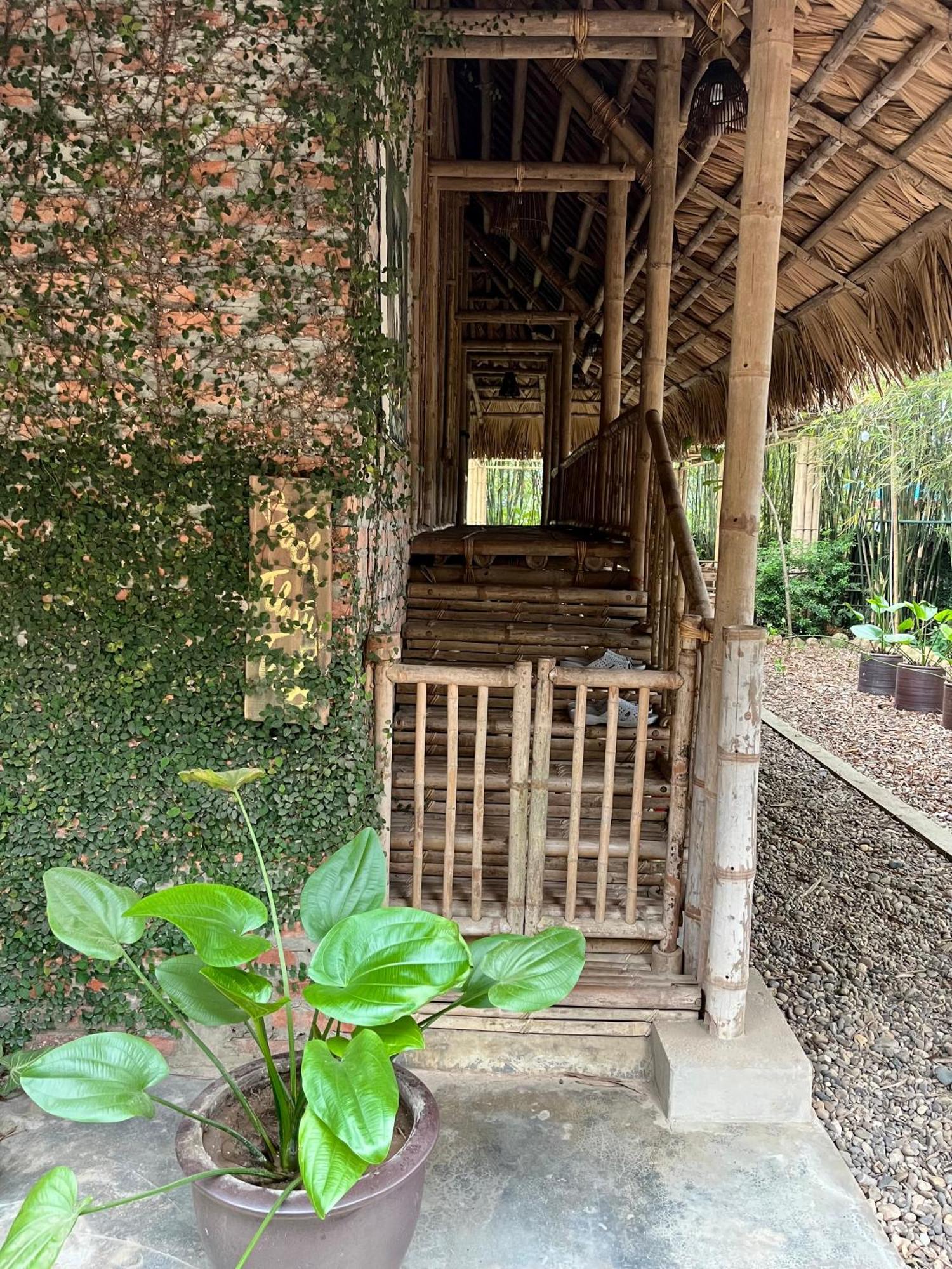 Dinh Gia Trang - Homestay & Coffee The Ruong Esterno foto