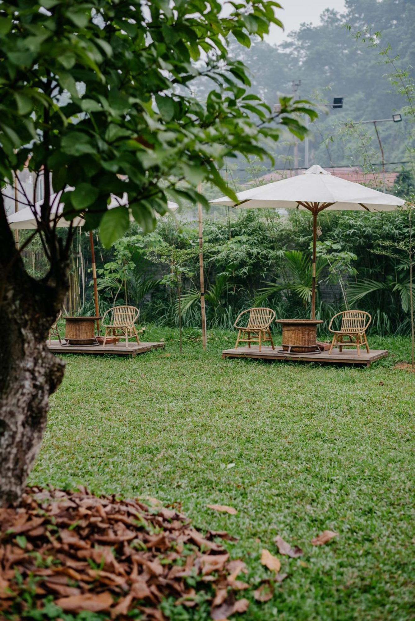 Dinh Gia Trang - Homestay & Coffee The Ruong Esterno foto